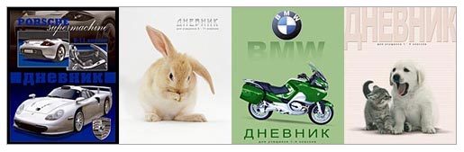 Компания БиДжи представляет коллекцию интегральных дневников- «лайт» 